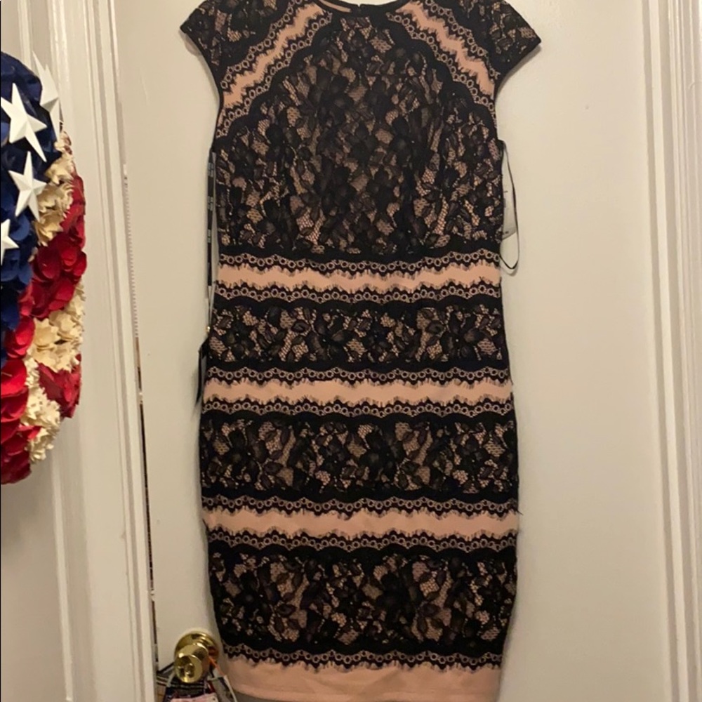 Brand New Tadashi Shoji lace dress